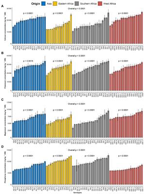 Leaf elemental composition analysis in spider plant [Gynandropsis gynandra L. (Briq.)] differentiates three nutritional groups
